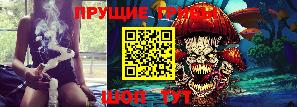 Псилоцибиновые грибы Psilocybine cubensis Новокузнецк