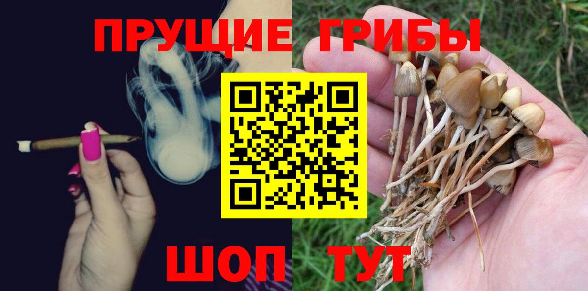 Новокузнецк  Псилоцибиновые грибы MAGIC MUSHROOMS  купить наркоту  Вход с VPN  Псилоцибиновые грибы Magic Shrooms 